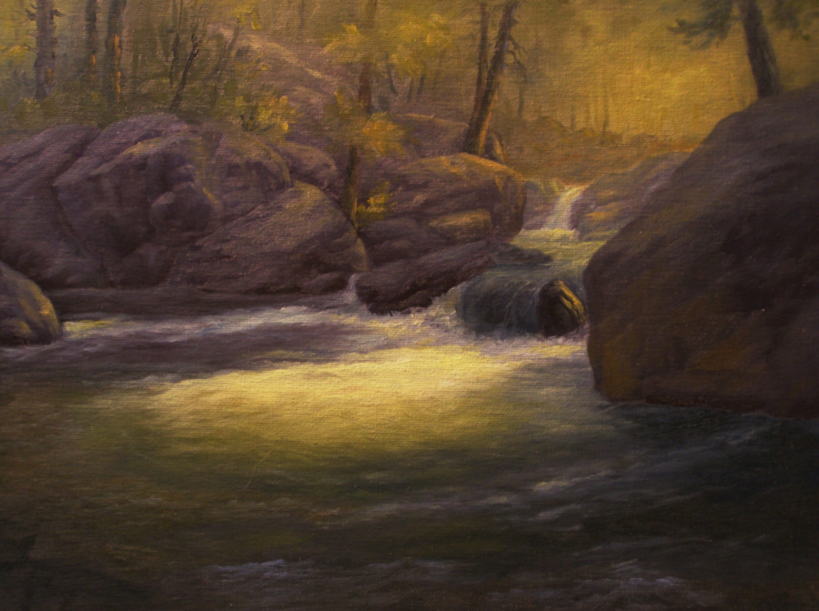 Summer afternoon St Vrain River